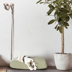 Fable Pets Memory Foam Cat & Dog Bed, Green, Large/X-Large