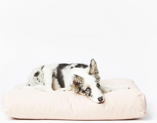 Show full view: Fable Pets Memory Foam Cat & Dog Bed, Rose Dust, Medium slide 2 of 4