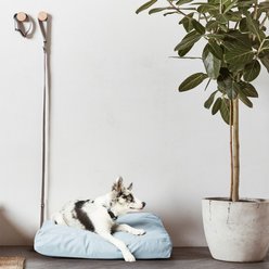 Fable Pets Memory Foam Cat & Dog Bed, Silver Blue, Medium