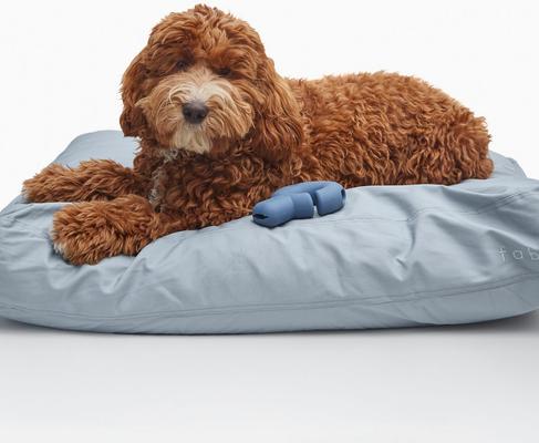 Show full view: Fable Pets Memory Foam Cat & Dog Bed, Silver Blue, Medium slide 2 of 4