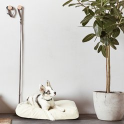 Fable Pets Memory Foam Cat & Dog Bed, Tofu, Medium