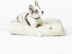 Fable Pets Memory Foam Cat & Dog Bed, Tofu, Medium slide 2 of 4