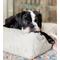 Show in main carousel: Fable Pets Memory Foam Cat & Dog Bed, Tofu, X-Small/Small slide 1 of 5