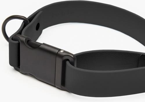 Show full view: Fable Pets Signature Dog Collar, Black, Small slide 3 of 4