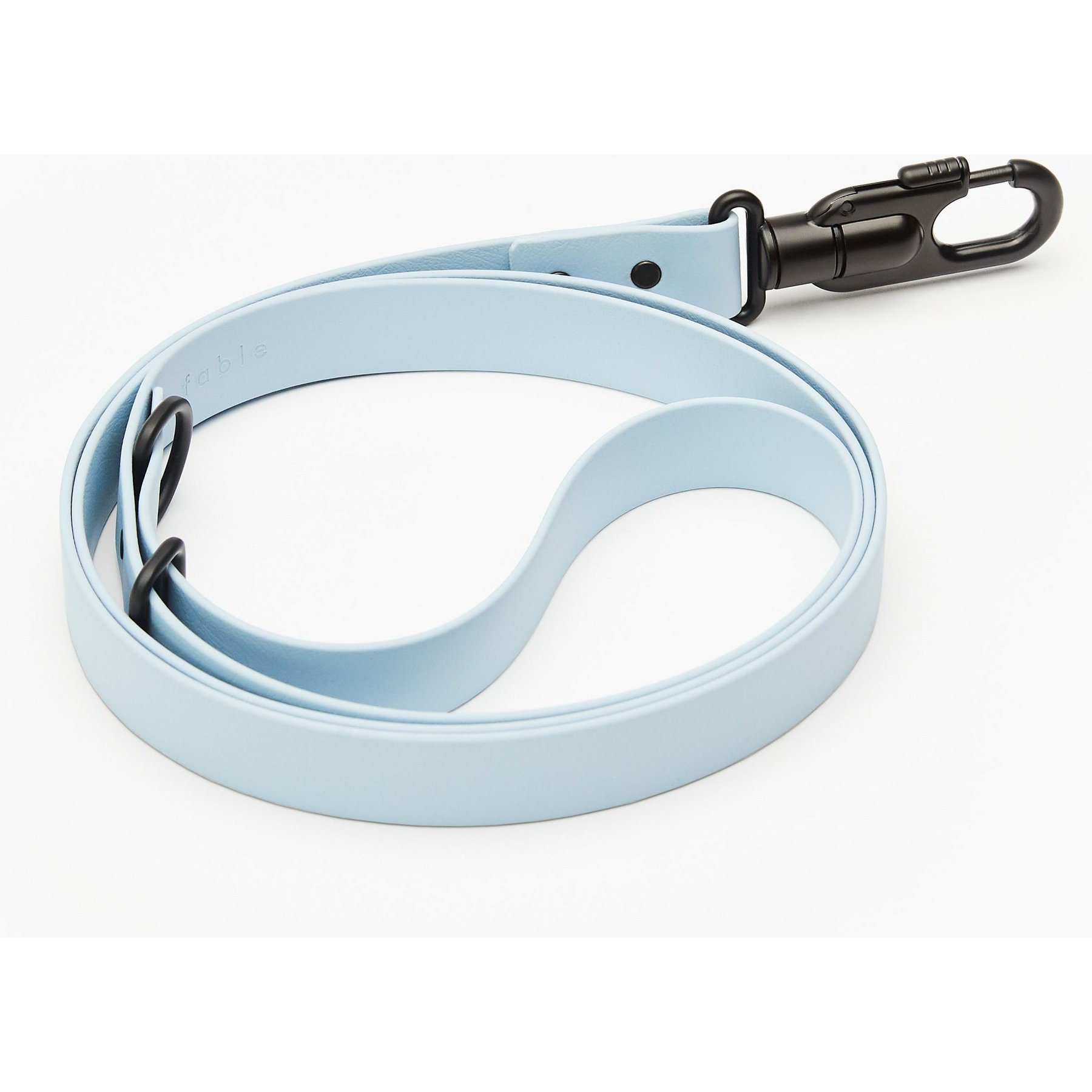 Fable Pets Signature Dog Leash, Light Blue, Medium