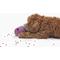 Show in main carousel: Fable Pets The Game Dog Toy, Purple slide 3 of 4