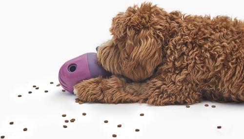 Show full view: Fable Pets The Game Dog Toy, Purple slide 3 of 4