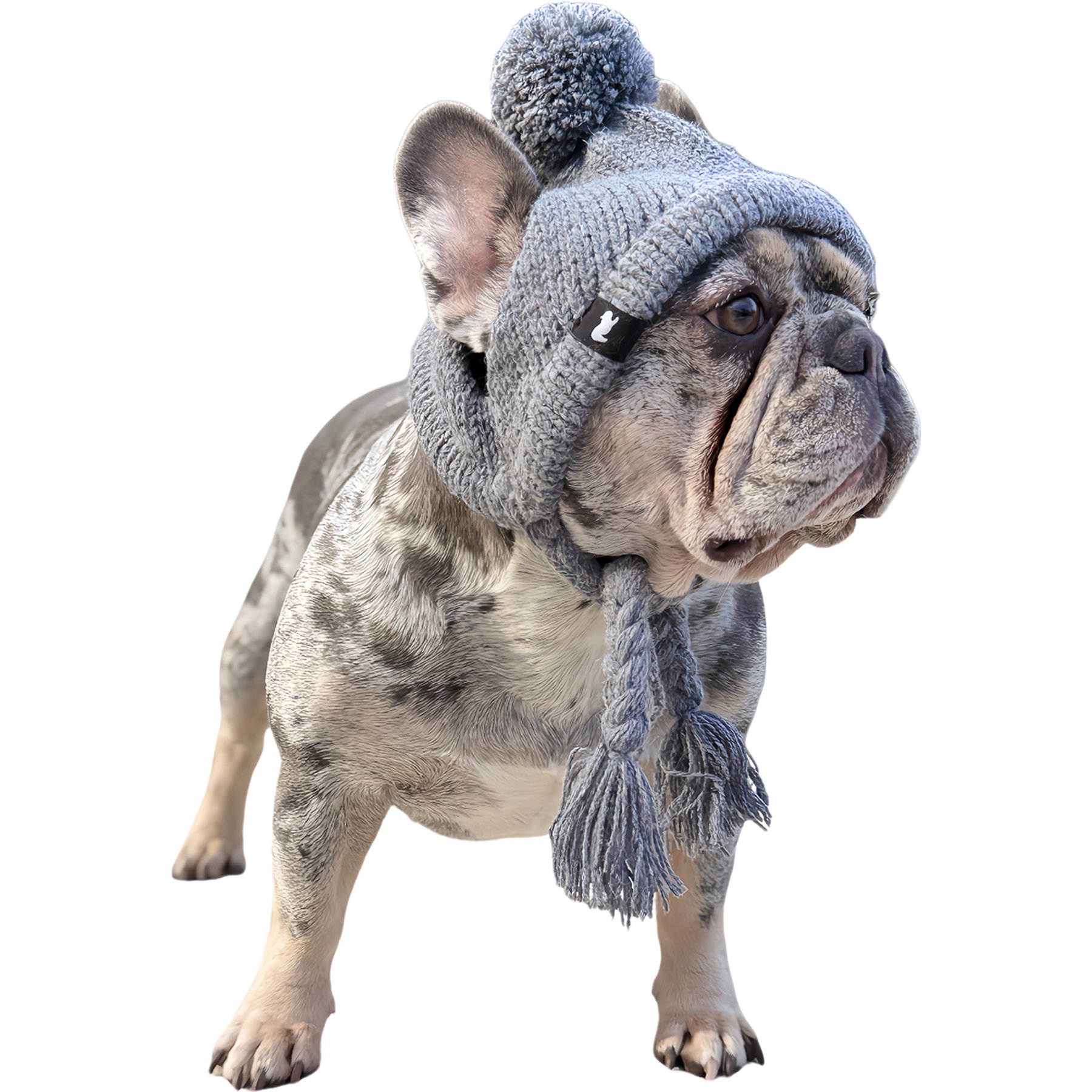 Fabulous Fido Alpaca-Blend Handmade Cozy Ears Beanie with Ear Holes & Adjustable Chin Strap Dog Knit Hat, Gray, Small