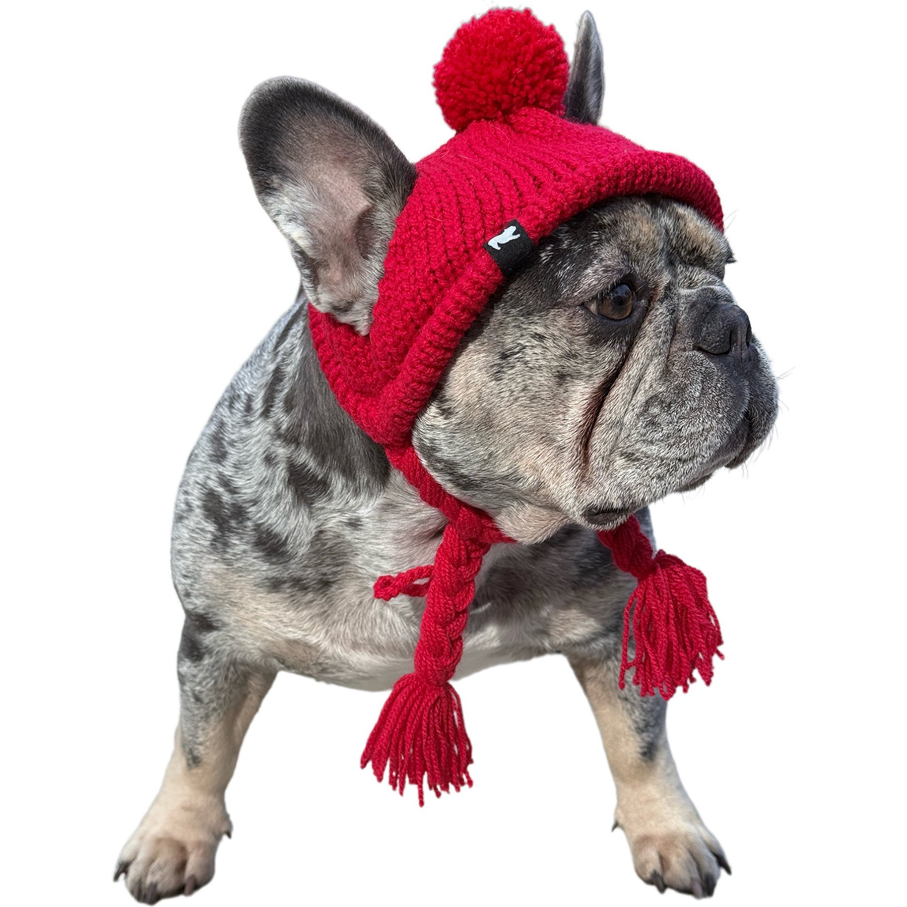 Fabulous Fido Handmade Cozy Ears Beanie with Ear Holes & Adjustable Chin Strap Dog Knit Hat, Red, Medium