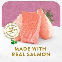 Fancy Feast Classic Broths with Wild Salmon & Vegetables Supplemental Wet Cat Food Pouches, 1.4-oz pouch, case of 16 slide 2 of 7