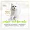 Show in main carousel: Fancy Feast Gravy Lovers Salmon Feast Pate Wet Cat Food, 3-oz can, case of 24 slide 4 of 9