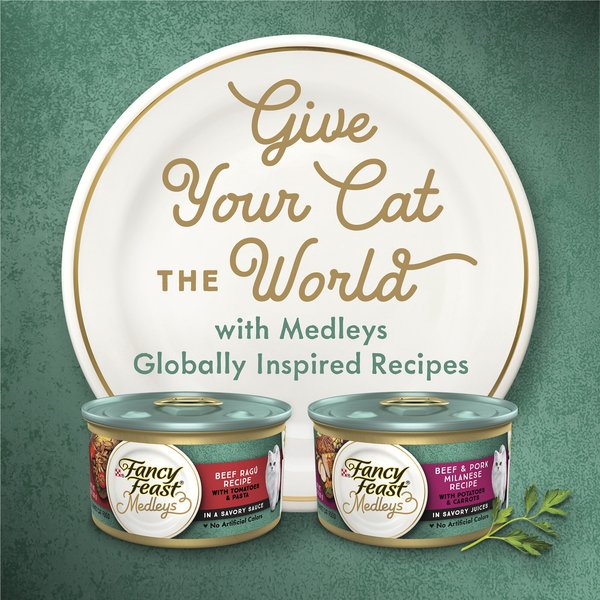 Fancy Feast Medleys in Gravy Beef Ragu Recipe with Tomatoes & Pasta in a Savory Sauce Wet Cat Food, 3-oz can, case of 24
