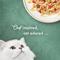 Show in main carousel: Fancy Feast Medleys Pork Barbacoa with Rice, Tomatoes & Carrots in Savory Juices Wet Cat Food, 3-oz can, case of 24 slide 6 of 11