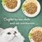 Show in main carousel: Fancy Feast Medleys Shredded Fare Collection Pack Canned Cat Food, 3-oz, case of 12 slide 6 of 14