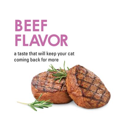 Show full view: Fancy Feast Savory Cravings Beef Flavor Limited Ingredient Soft Cat Treats, 3-oz box slide 6 of 13