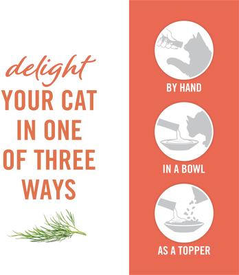 Show full view: Fancy Feast Savory Puree Naturals Salmon & Tuna Flavored in a Demi-Glace Squeezable Lickable Adult Cat Treats, 0.32-oz tube, case of 12 slide 7 of 12