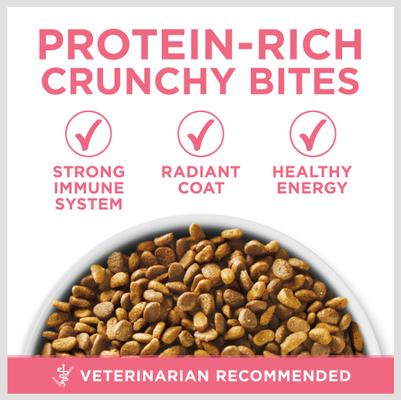 Show full view: Fancy Feast Tender Feast Canned Food + Purina ONE Healthy Kitten Formula Dry Cat Food, 7-lb bag slide 8 of 10