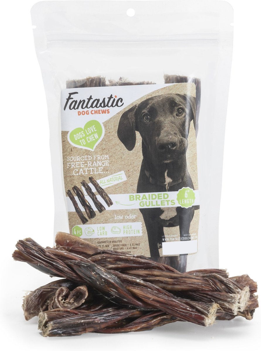 Fantastic Dog Chews Braided Gullets Grain-Free Dog Treats