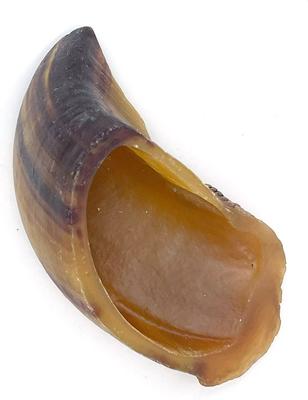 Show full view: Fantastic Dog Chews Cow Hooves Dog Chews, 25 count slide 5 of 6