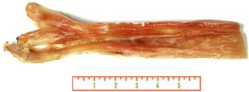 Show full view: Fantastic Dog Chews Jumbo Beef Tendon Dog Chews, 2 pack slide 4 of 6