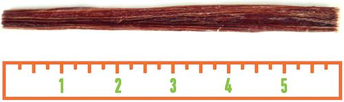 Show full view: Fantastic Dog Chews Mini Bully Sticks Grain-Free Dog Treats, 6-in, 3-oz bag slide 4 of 4