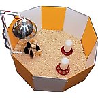 Farm Innovators Baby Chick Starter Home