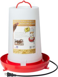 Farm Innovators Heated All-Season Poultry Fount, 3-gal