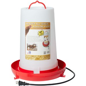Farm Innovators Heated All-Season Poultry Fount, 3-gal