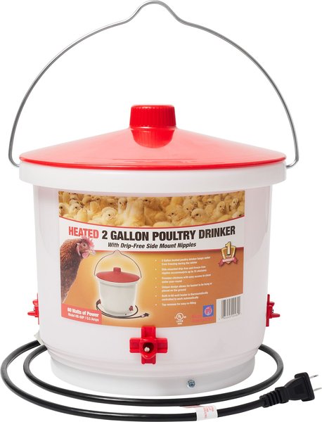 Farm Innovators Heated Poultry Drinker, 2-gal