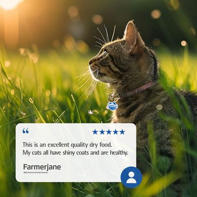 Show full view: Farmina N&D Ancestral Lamb & Blueberry Low-Grain Dry Cat Food, 3.3-lb bag slide 9 of 11