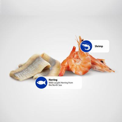 Show full view: Farmina Natural & Delicious Ocean Herring & Shrimps Canned Dog Food, 4.9-oz can, case of 6 slide 7 of 11