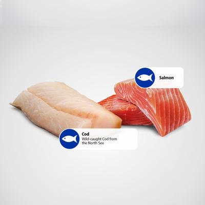 Show full view: Farmina Natural & Delicious Ocean Salmon & Cod Canned Dog Food, 10-oz can, case of 6 slide 7 of 11