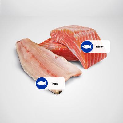 Show full view: Farmina Natural & Delicious Ocean Trout & Salmon Canned Dog Food, 10-oz can, case of 6 slide 7 of 11