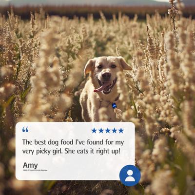 Show full view: Farmina N&D Ancestral Grain Canine Adult GMO-Free Chicken Spelt Oats Pomegranate Maxi Giant Dry Dog Food, 26.4-lb bag slide 9 of 11