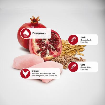 Show full view: Farmina N&D Ancestral Grain Chicken & Pomegranate Medium & Maxi Adult Dry Dog Food, 5.5-lb bag slide 5 of 9