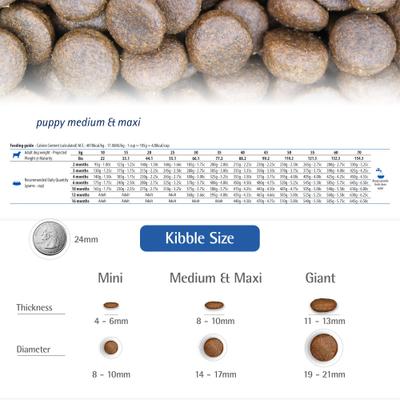 Show full view: Farmina N&D Ancestral Grain Lamb & Blueberry Recipe Puppy Medium & Maxi Dry Dog Food, 5.5-lb bag slide 7 of 11