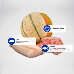 Farmina N&D Ocean Canine Adult GMO-Free Salmon, Cod, Cantaloupe Med & Maxi Dry Dog Food, 26.4-lb bag slide 2 of 9