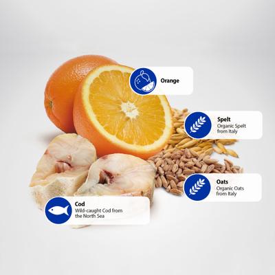 Show full view: Farmina N&D Ocean Codfish & Orange Ancestral Grain Medium & Maxi Adult Dry Dog Food, 26.5-lb bag slide 6 of 11