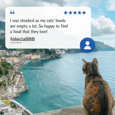 Show full view: Farmina N&D Ocean Feline Herring & Orange Neutered Dry Cat Food, 11-lb bag slide 9 of 10