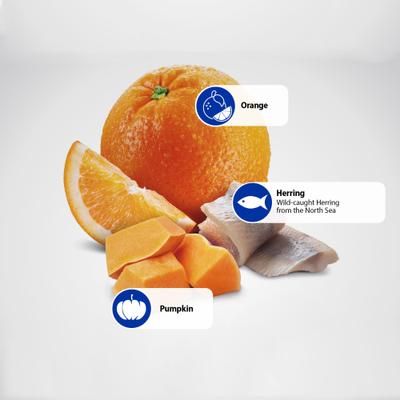 Show full view: Farmina N&D Ocean Feline Herring & Orange Neutered Dry Cat Food, 3.3-lb bag slide 6 of 10