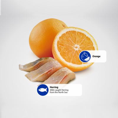 Show full view: Farmina N&D Ocean Herring & Orange Grain-Free Dry Cat Food, 11-lb bag slide 6 of 11