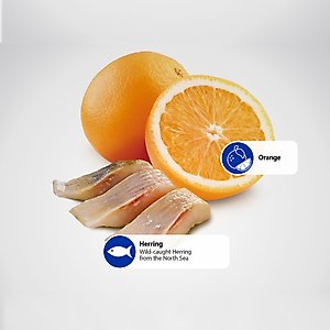 Farmina N&D Ocean Herring & Orange Adult Grain-Free Dry Cat Food, 3.3-lb bag