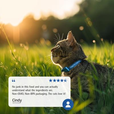 Show full view: Farmina N&D Prime Boar & Apple Grain-Free Dry Cat Food, 11-lb bag slide 9 of 11