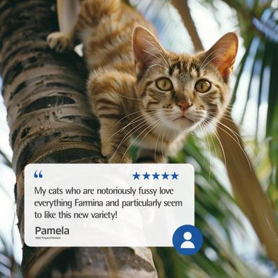 Show full view: Farmina N&D Tropical Selection Lamb Neutered Dry Cat Food, 11-lb bag slide 9 of 11