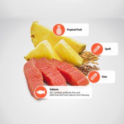 Farmina N&D Tropical Selection Salmon Adult Medium & Maxi Dry Dog Food, 22-lb bag slide 2 of 9