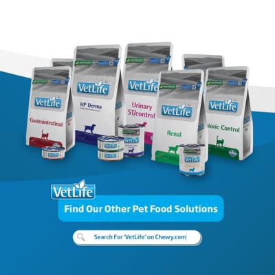 Show full view: Farmina Vet Life Derma Management with Duck Recipe In Gravy Wet Dog Food, 10.6-oz can, case of 6 slide 9 of 9