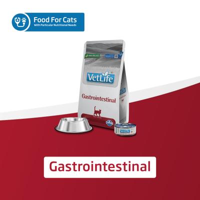Show full view: Farmina Vet Life Gastrointestinal Feline Dry Cat Food, 11-lb bag slide 8 of 11