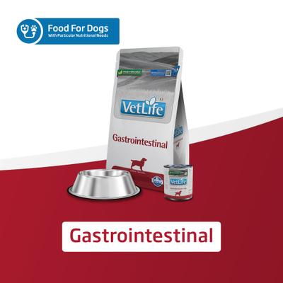 Show full view: Farmina Vet Life Gastrointestinal Recipe Wet Dog Food, 10.6-oz can, case of 6 slide 8 of 10