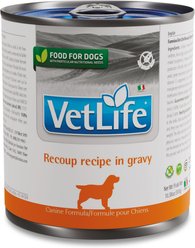 Farmina Vet Life Recoup Recipe in Gravy Wet Dog Food, 10.6-oz can, case of 6