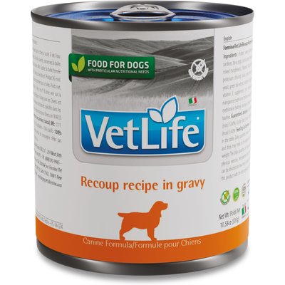 Farmina Vet Life Farmina Vet Life Recoup Recipe in Gravy Wet Dog Food, 10.6-oz can, case of 6